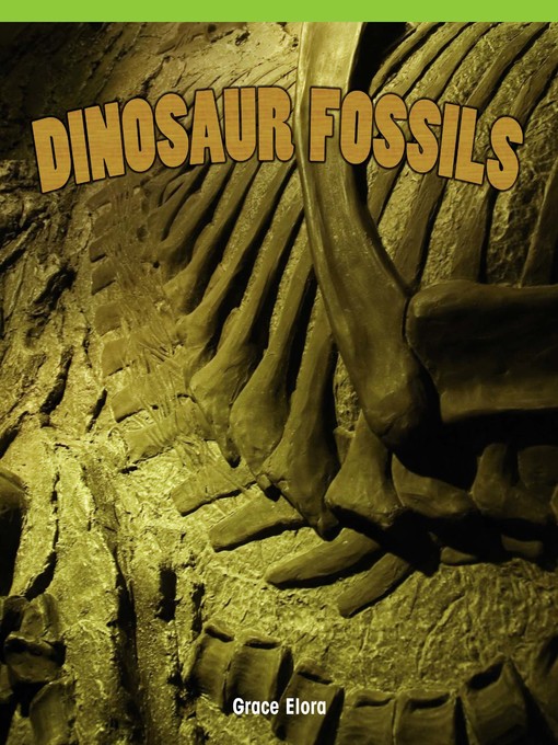 תמונה של  Dinosaur Fossils